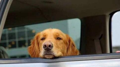 晕车怎么办:你晕车了我有妙招教大家防晕 晕车怎么办:你晕车了我有妙招教大家防晕