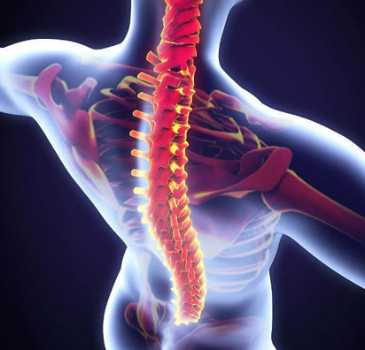 驼背怎么矫正：分享简单5个动作坚持1月就直了