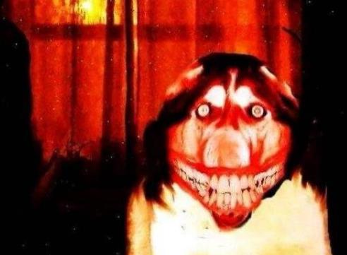 微笑狗为什么吓人：笑容背后一个恐怖故事的原图