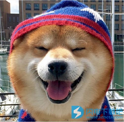 微笑狗为什么吓人：笑容背后一个恐怖故事的原图