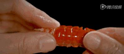 小龙虾的吃法剥法图解：喜欢吃虾就要先学会剥虾