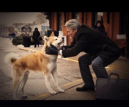 十大感人催泪电影汇总：全球人都在看的感染电影（图）