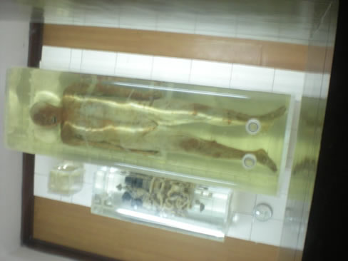 黄河透明棺材是真是假:透明棺材事件让人匪夷所思 黄河透明棺材是真是假:透明棺材事件让人匪夷所思