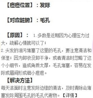 长痘痘的位置图解：痘痘位置不同反应不同脏腑情况