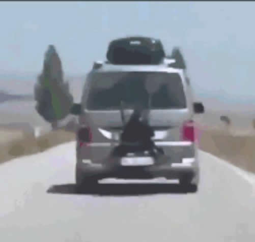 父亲将女儿栓车尾：13岁女儿栓车尾驰行（图）