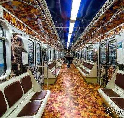 世界十大禁地:神秘的存在隐藏着什么秘密 世界十大禁地:神秘的存在隐藏着什么秘密