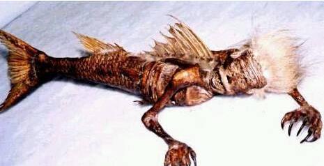 至今世界未解之谜大盘点