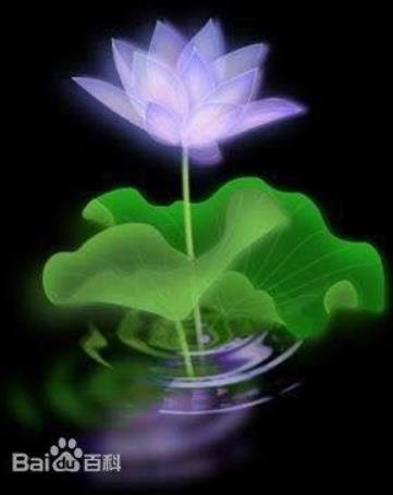 小说《遮天》中十大高手排名：你心中谁实力最强（图）