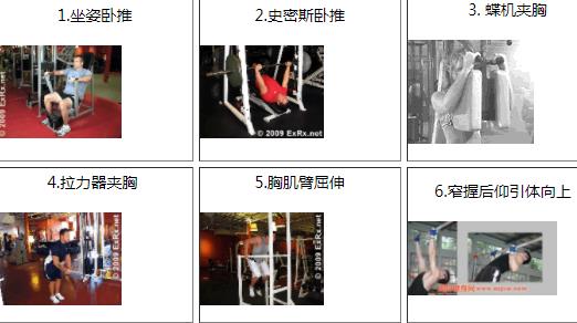 健身房器材使用图解:不同器材锻炼部位和要点 健身房器材使用图解:不同器材锻炼部位和要点