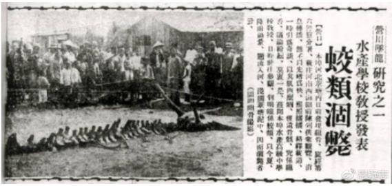 辽宁营口坠龙事件:故事叙述及坠龙事件图片 辽宁营口坠龙事件:故事叙述及坠龙事件图片