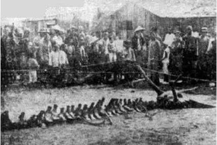 辽宁营口坠龙事件:故事叙述及坠龙事件图片 辽宁营口坠龙事件:故事叙述及坠龙事件图片