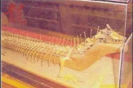 辽宁营口坠龙事件:故事叙述及坠龙事件图片 辽宁营口坠龙事件:故事叙述及坠龙事件图片