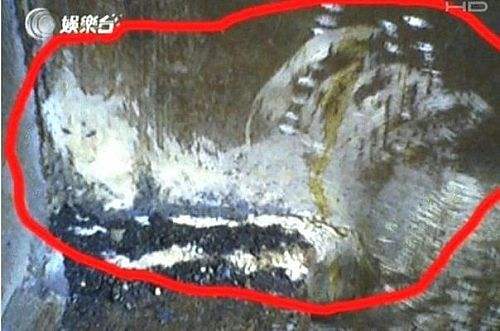 与动物有关的灵异事件：讲述民间动物灵异事件