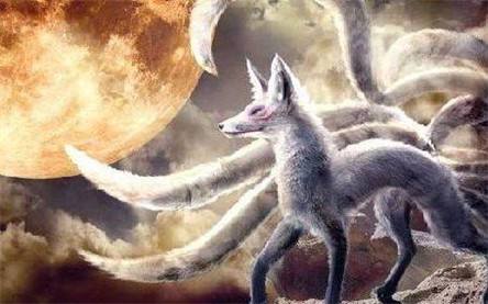 与动物有关的灵异事件：讲述民间动物灵异事件