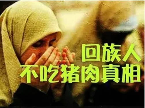为什么回族不吃猪肉：答案让你意想不到（图）