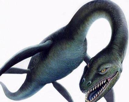 世界上出现过的神秘物种:有点小吓人胆小勿入(图) 世界上出现过的神秘物种:有点小吓人胆小勿入(图)