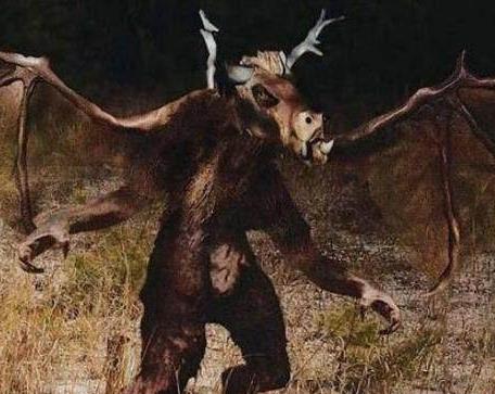 世界上出现过的神秘物种：有点小吓人胆小勿入（图）