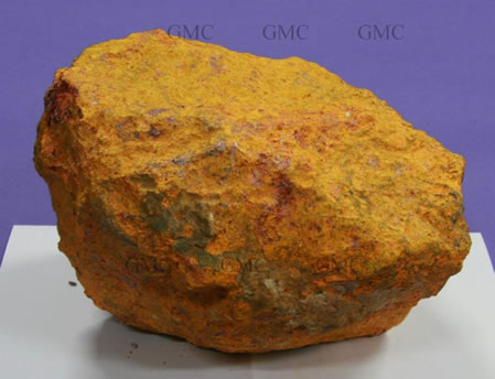 蛇最怕什么东西：快来了解以后用得着（图）