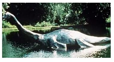 1992年,正在航海中的一群人目击到了身长约9m的类似大海蛇的生物.