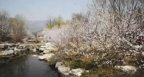 桃花源记恐怖真相是怎么回事：是真是假揭晓（图）