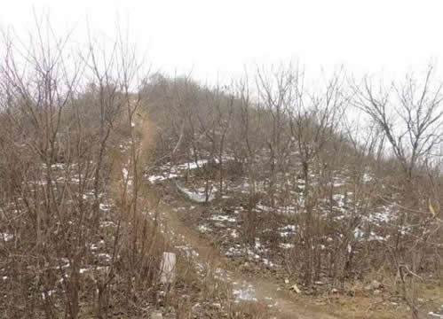 桃花源记恐怖真相是怎么回事：是真是假揭晓（图）