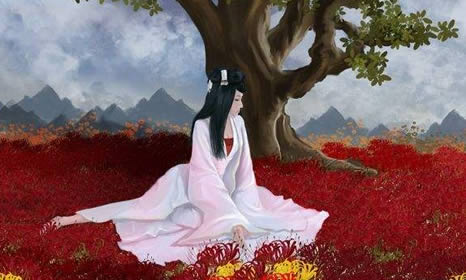 彼岸花的真正故事:因开和落各一千年则永不相见(图) 彼岸花的真正故事:因开和落各一千年则永不相见(图)