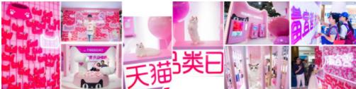 全民为喵宣誓!天猫是这么做的 全民为喵宣誓!天猫是这么做的