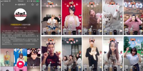 全民为喵宣誓!天猫是这么做的 全民为喵宣誓!天猫是这么做的