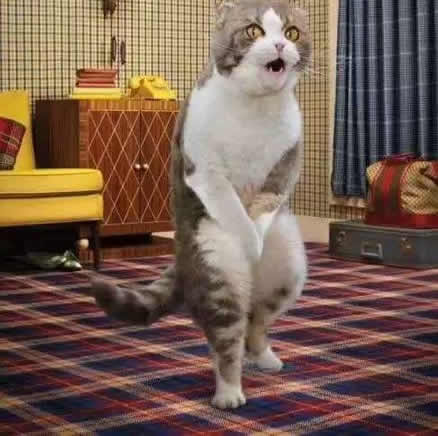 男人蛋疼什么意思有多疼:网友告诉你蛋疼体验(图) 男人蛋疼什么意思有多疼:网友告诉你蛋疼体验(图)