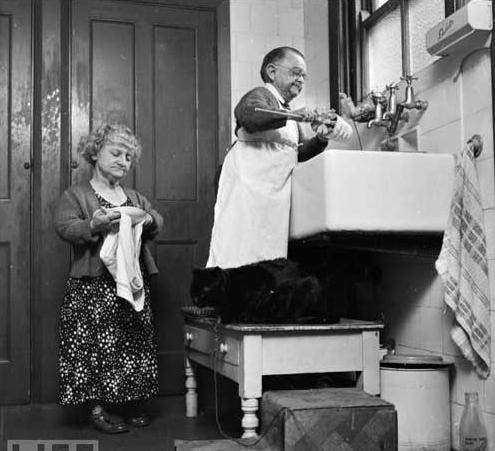 世界上最矮的人：ta们是世界上最矮的夫妻