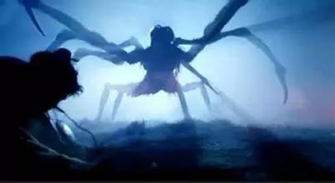 家里有大蜘蛛：意味着什么,大蜘蛛进家里代表什么