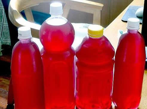 葡萄酒的制作方法:发酵一个星期就可以饮用了(图) 葡萄酒的制作方法:发酵一个星期就可以饮用了(图)