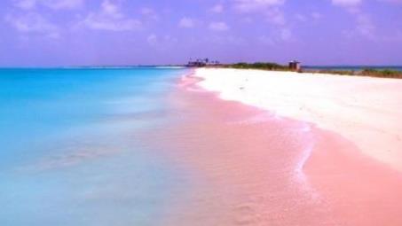 粉色沙滩：十大梦幻的粉色沙滩介绍