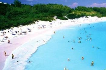 粉色沙滩：十大梦幻的粉色沙滩介绍