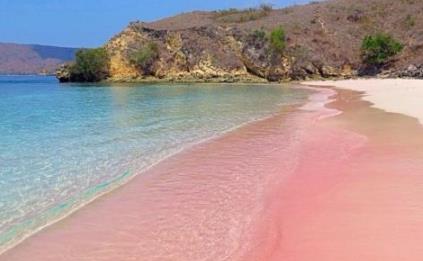 粉色沙滩：十大梦幻的粉色沙滩介绍