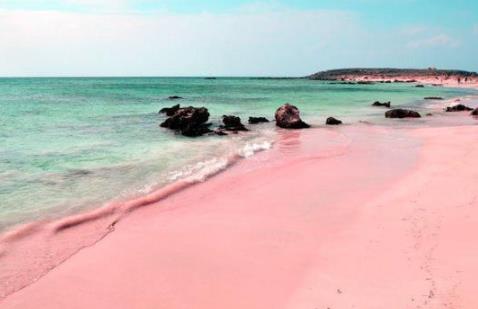 粉色沙滩：十大梦幻的粉色沙滩介绍