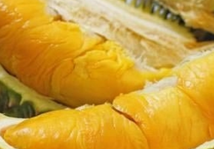 榴莲怎么吃方法:吃榴莲的7大禁忌(图) 榴莲怎么吃方法:吃榴莲的7大禁忌(图)