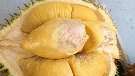 榴莲怎么吃方法:吃榴莲的7大禁忌(图) 榴莲怎么吃方法:吃榴莲的7大禁忌(图)