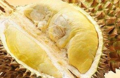 吃榴莲的好处功效与作用:水果之王榴莲营养价值 吃榴莲的好处功效与作用:水果之王榴莲营养价值