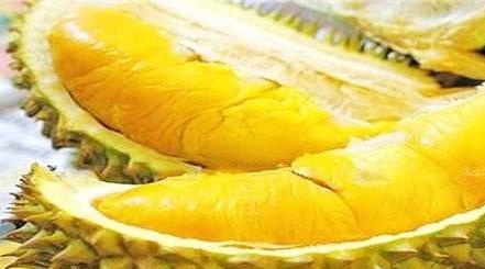 吃榴莲的好处功效与作用:水果之王榴莲营养价值 吃榴莲的好处功效与作用:水果之王榴莲营养价值