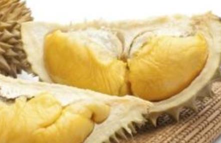 榴莲的七大功效介绍:哪些人不宜吃榴莲 榴莲的七大功效介绍:哪些人不宜吃榴莲