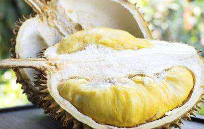 榴莲的七大功效介绍:哪些人不宜吃榴莲 榴莲的七大功效介绍:哪些人不宜吃榴莲