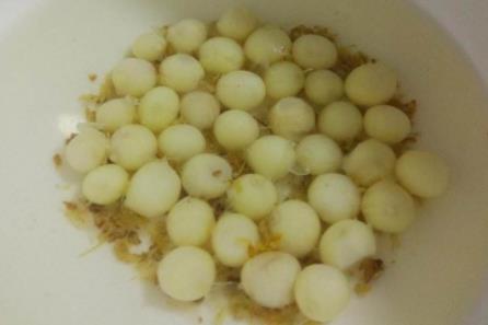 鸡头米是什么：什么人不能吃注意事项有哪些