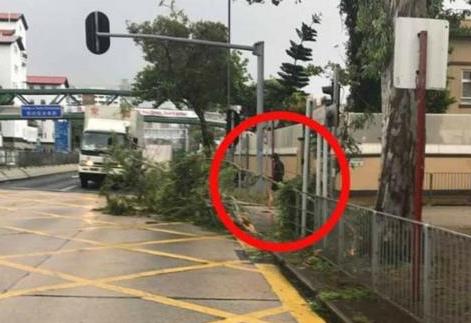 周润发西湖跑步：除了晨跑在公交地铁菜场和他偶遇