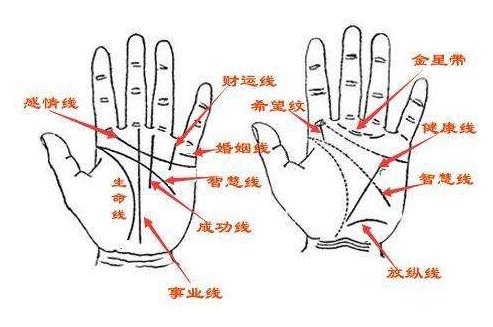 看手相准吗：信则准不信则不存在