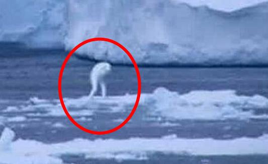 海底惊现30米巨人：神秘巨人图片