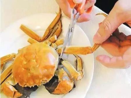 螃蟹不能和什么一起吃:食物相克吃螃蟹不能吃什么 螃蟹不能和什么一起吃:食物相克吃螃蟹不能吃什么