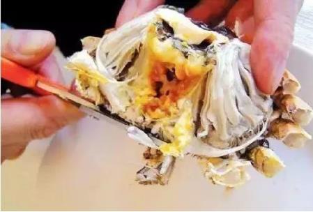 螃蟹不能和什么一起吃:食物相克吃螃蟹不能吃什么 螃蟹不能和什么一起吃:食物相克吃螃蟹不能吃什么