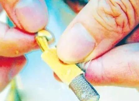 螃蟹不能和什么一起吃:食物相克吃螃蟹不能吃什么 螃蟹不能和什么一起吃:食物相克吃螃蟹不能吃什么