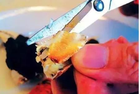 螃蟹不能和什么一起吃:食物相克吃螃蟹不能吃什么 螃蟹不能和什么一起吃:食物相克吃螃蟹不能吃什么